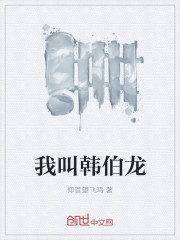 小说：我叫韩伯龙，作者：仰首望飞鸿