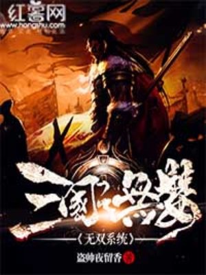 小说：三国之无双系统，作者：盗帅夜留香