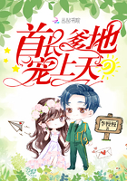 小说：首长爹地，宠上天！，作者：李慢慢