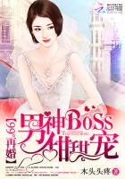 小说：99°再婚：男神BOSS甜甜宠，作者：木头头疼