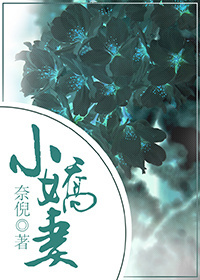 小说：小娇妻，作者：奈倪