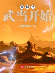 小说：穿越从武当开始，作者：泡椒炖咸鱼