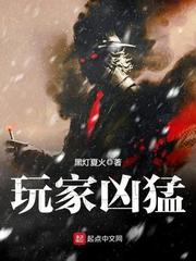 小说：玩家凶猛，作者：黑灯夏火