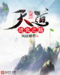 小说：天道进化之路，作者：风痕蝶影
