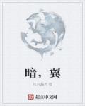 小说：暗，翼，作者：夜月de光