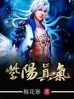 小说：紫阳真气，作者：梅花寒
