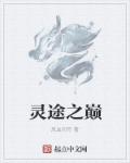 小说：灵途之巅，作者：风血同舟