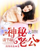 小说：神秘老公，请节制，作者：南海有鱼