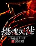 小说：摄魂灵徒，作者：寻痕皇子