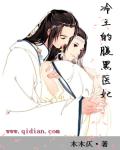 小说：冷王的腹黑医妃，作者：木木仄