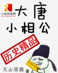 小说：大唐小相公，作者：天山寒鸦