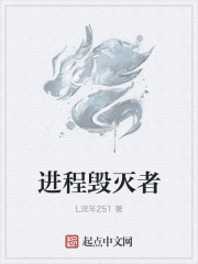 小说：进程毁灭者，作者：L流年251