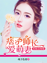 小说：爱你没商量，作者：魂予色授