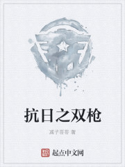 小说：抗日之双枪，作者：减子哥哥