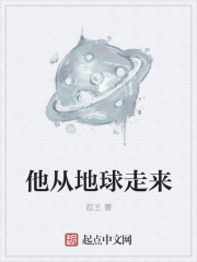 小说：他从地球走来，作者：忍王