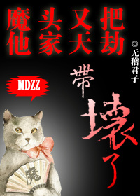 小说：魔头又把他家天劫带坏了，作者：无稽君子