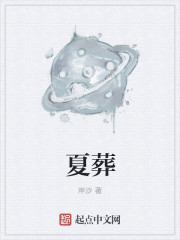 小说：夏葬，作者：岸沙