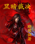 小说：黑暗裁决，作者：胖熊猫