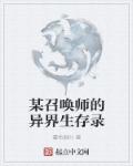 小说：某召唤师的异界生存录，作者：暮色枫叶