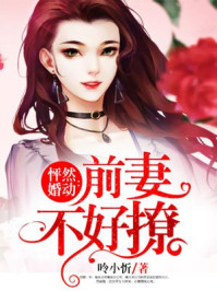 小说：怦然婚动：前妻不好撩，作者：呤小忻