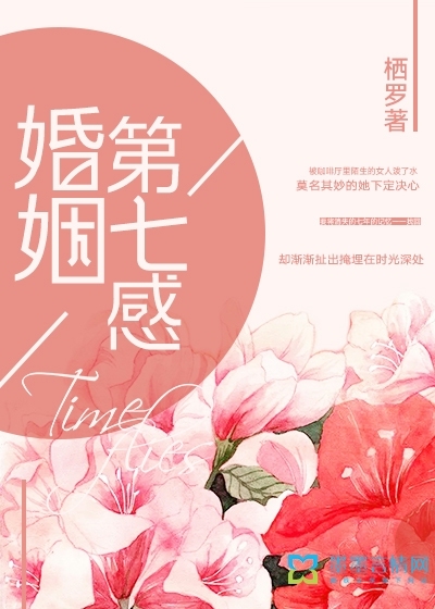 小说：婚姻第七感，作者：栖罗