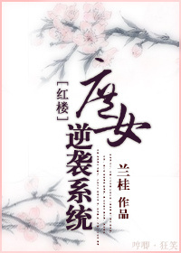 小说：红楼之逆袭攻略，作者：兰桂