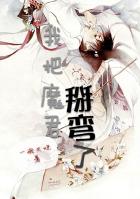 小说：我把魔君掰弯了，作者：一碗叉烧
