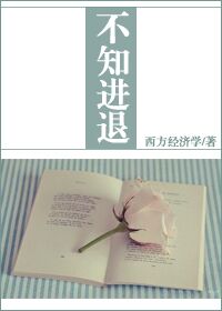 小说：不知进退，作者：西方经济学