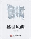 小说：盛世风波，作者：百当