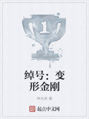 小说：绰号：变形金刚，作者：神光侠