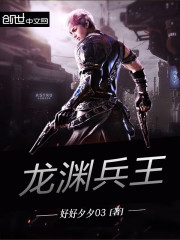 小说：龙渊兵王，作者：好好夕夕03