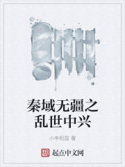 小说：秦域无疆之乱世中兴，作者：小李相国
