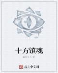 小说：十方镇魂，作者：要有毅力