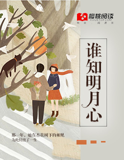 小说：谁知明月心，作者：流年盛夏