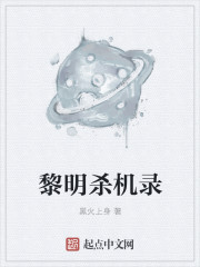 小说：黎明杀机录，作者：黑火上身