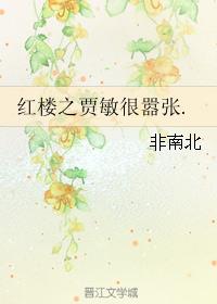 小说：红楼之贾敏很嚣张.，作者：非南北