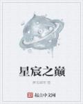 小说：星宸之巅，作者：醉忘烟雨