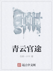 小说：青云官途，作者：也就一片叶
