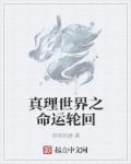 小说：真理世界之命运轮回，作者：深巷初晴