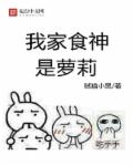 小说：我家食神是萝莉，作者：贼猫小黑