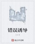 小说：错误诱导，作者：尘珍