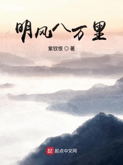 小说：明风八万里，作者：紫钗恨