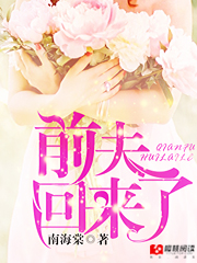 小说：前夫回来了，作者：南海棠
