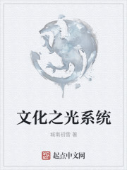 小说：文化之光系统，作者：城南初雪