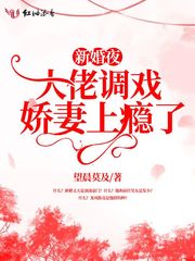 小说：新婚夜，大佬调戏娇妻上瘾了，作者：望晨莫及