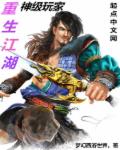小说：神级玩家重生江湖，作者：梦幻西游世界