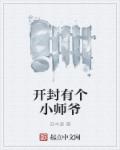 小说：开封有个小师爷，作者：苏木遮