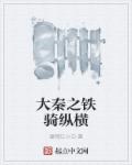小说：大秦之铁骑纵横，作者：爱喝江小白
