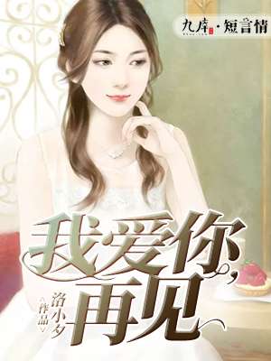 小说：我爱你，再见，作者：洛小夕