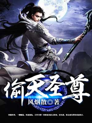 小说：偷天圣尊，作者：风烟散